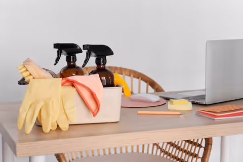 Explore Safe Cleaning Solutions for Different Furniture Types